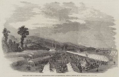 在巴恩斯特普尔的巴斯和英格兰西部农业展 作者 乔治·汤森